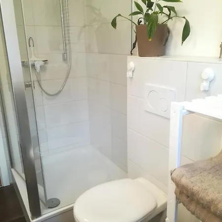 Apartment Ruhige Ferienwohnung-nahe Europapark - #117382 *